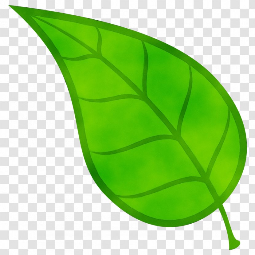 Banana Leaf - Paint - Plant Transparent PNG