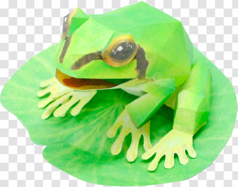 Paper Craft True Frog Model Toys Transparent PNG