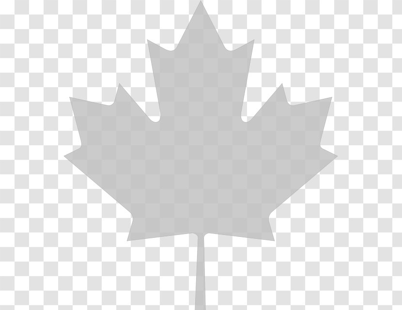 Flag Of Canada Maple Leaf Clip Art - Flowering Plant - Background Transparent PNG