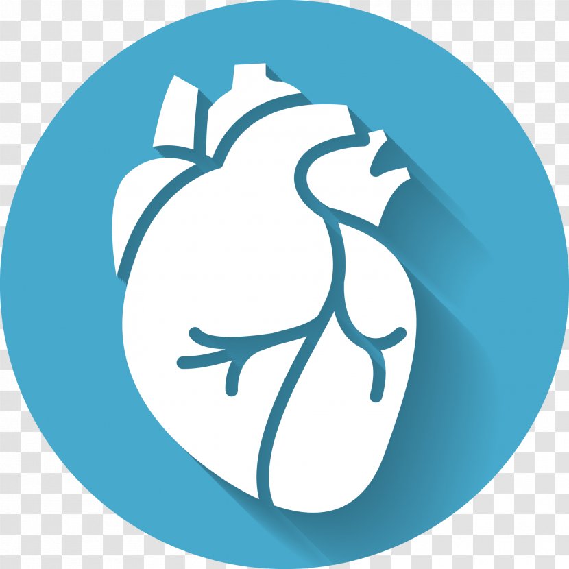 Heart Sounds Anatomy Medicine - Google Daydream Transparent PNG