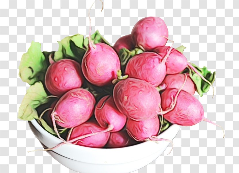 Radish Turnip Vegetable Food Natural Foods - Superfood Beetroot Transparent PNG