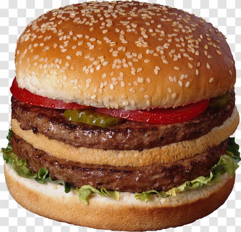 Hamburger Fast Food Cheeseburger French Fries - Buffalo Burger - And Sandwich Transparent PNG