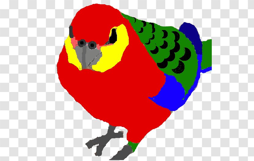 Macaw Loriini Parakeet Beak Clip Art - Bird - Organism Transparent PNG