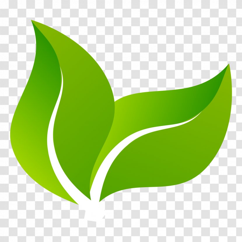 Logo Design Green Image - Resolution - Hay Transparent PNG