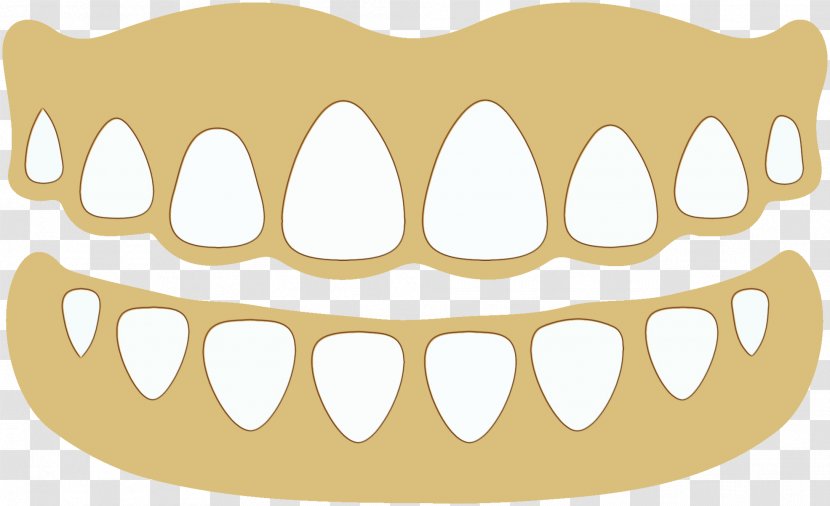 Jaw Mouth Clip Art Dentures Transparent PNG
