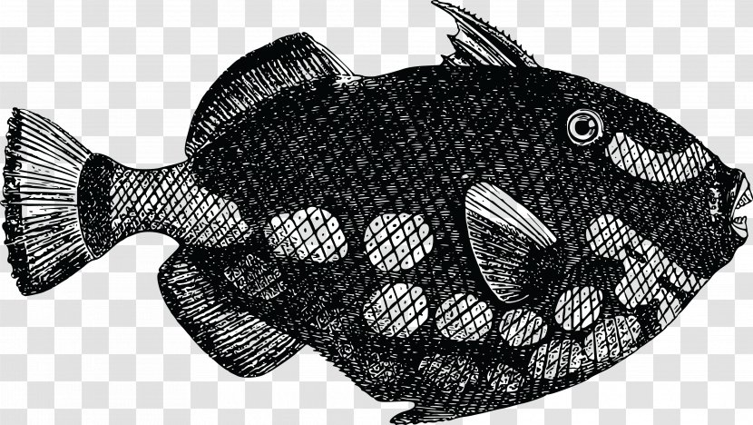 Download Clip Art - Organism - Dead Fish Transparent PNG