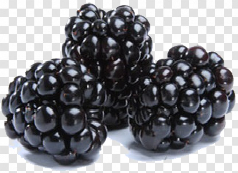 Blackberry Hass Avocado Fruit Amora - Sweetness - Raspberry Transparent PNG