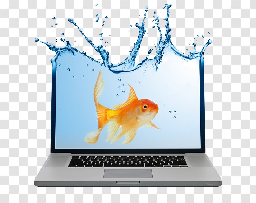 Laptop Notebook Creativity Software Organization - Advertising - Computer Transparent PNG