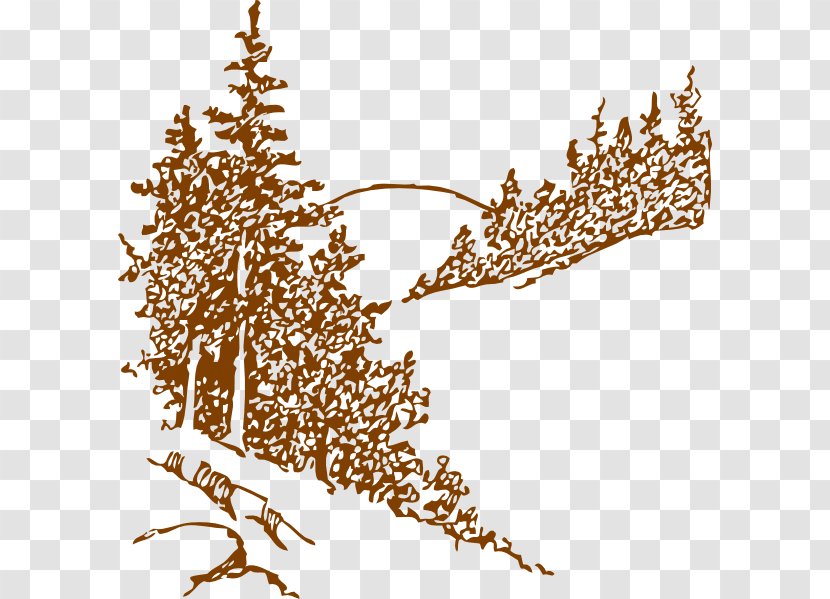 Christmas Pine Clip Art - Conifers Transparent PNG