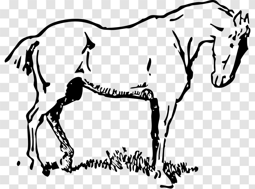 Mustang Draft Horse Tennessee Walking Clip Art - Organism Transparent PNG