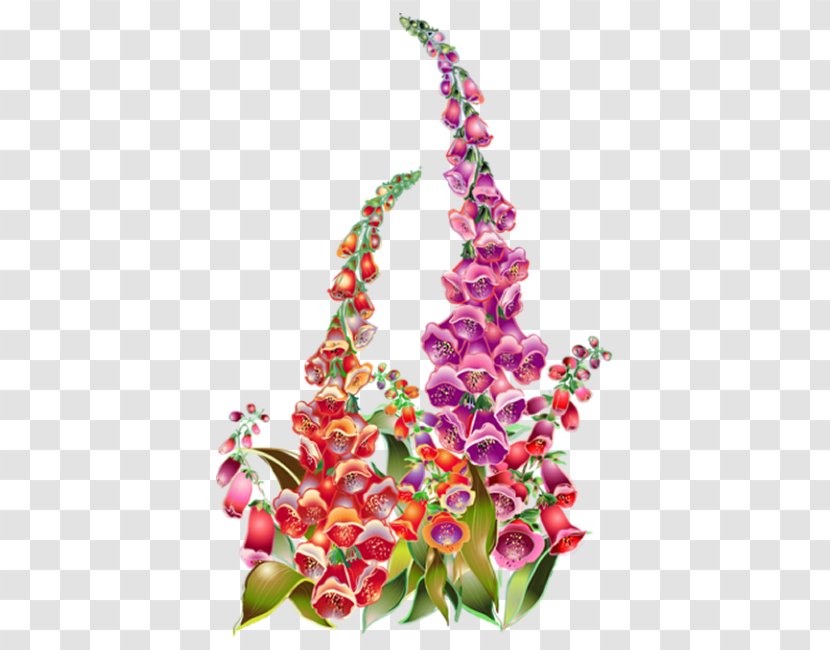 Botanical Illustration Clip Art Watercolor Painting - Floral Design Transparent PNG