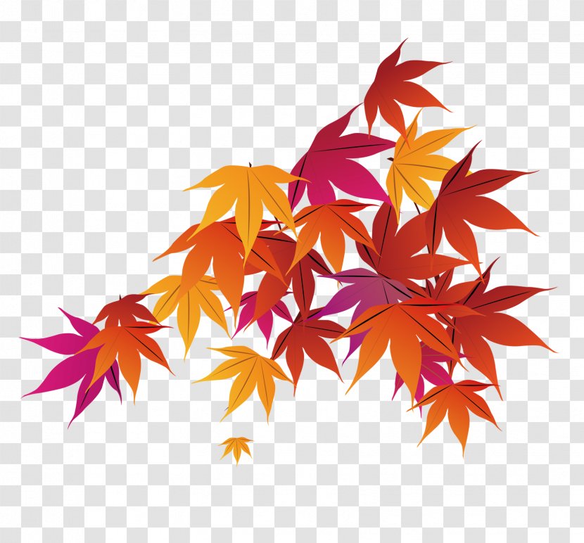 Red Maple Leaf Autumn - Decoration Transparent PNG