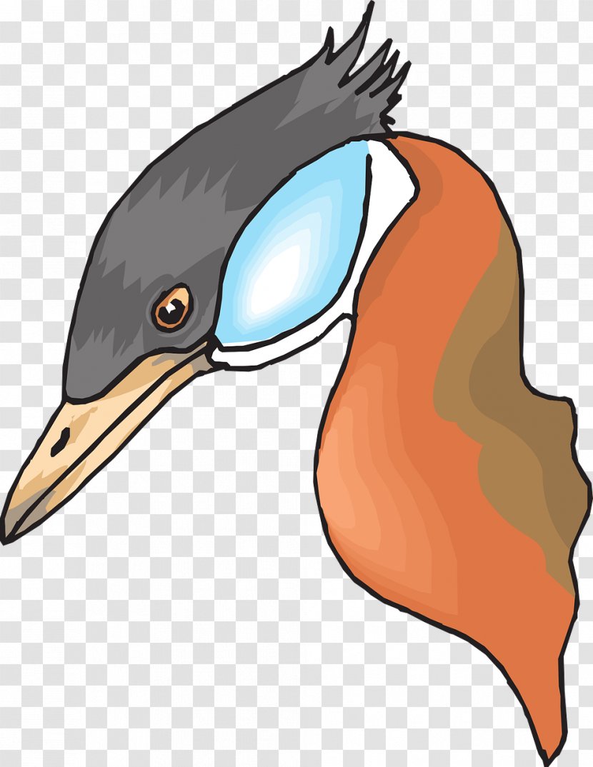 Duck Bird Mallard Beak Clip Art - Wing Transparent PNG