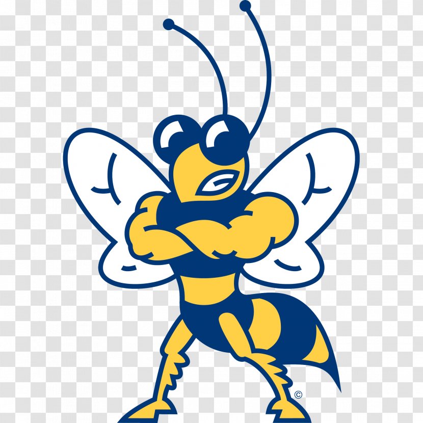 Howard Payne University Hardin-Simmons Yellow Jackets Men's Basketball Football - Cartoon - Potts Png Free Download Transparent PNG