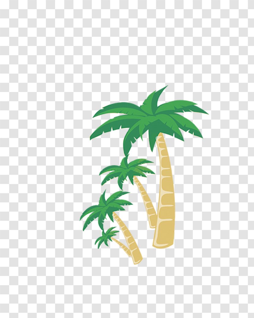 Tourism Beach Clip Art - Flower - Beautiful Fresh Coconut Transparent PNG