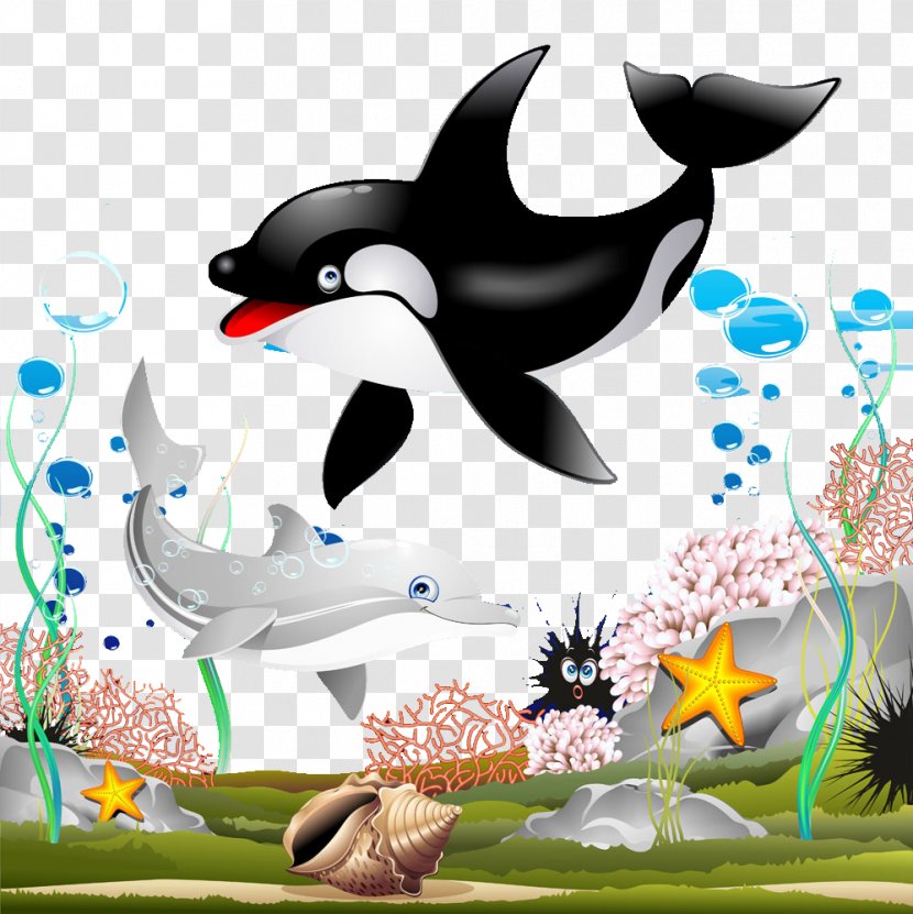 Killer Whale Cartoon Clip Art - Dolphin - Couple Transparent PNG