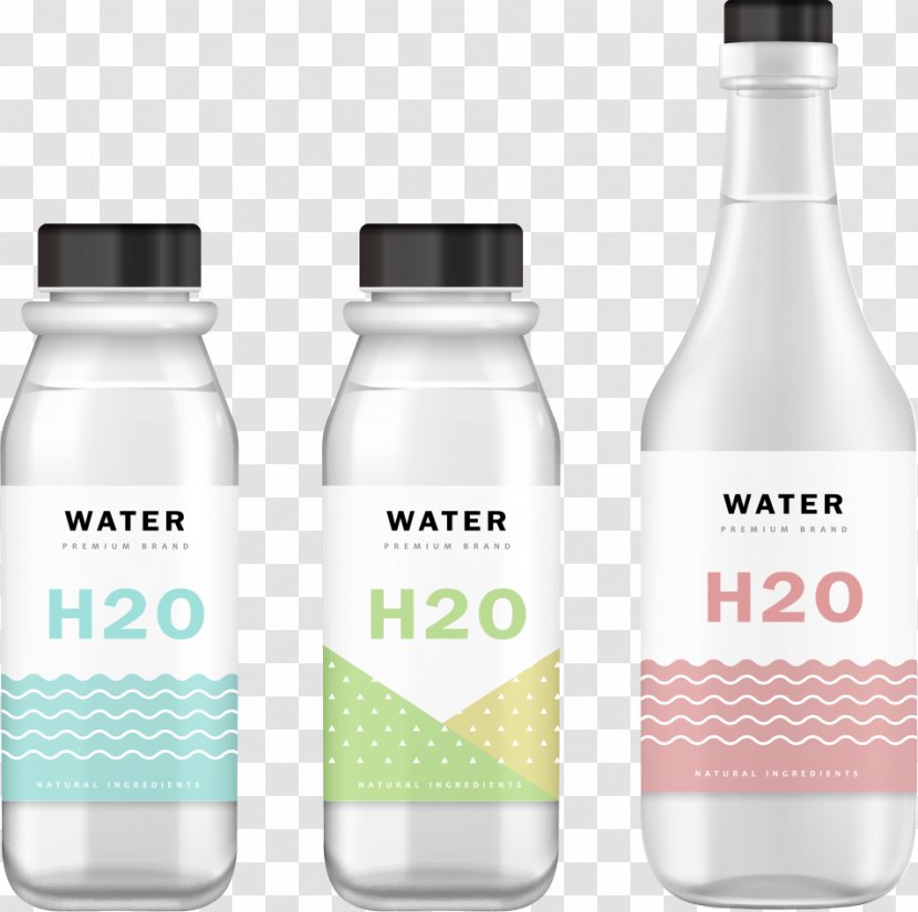 Mockup Water Bottle - Packaging And Labeling - Vector Design Transparent PNG
