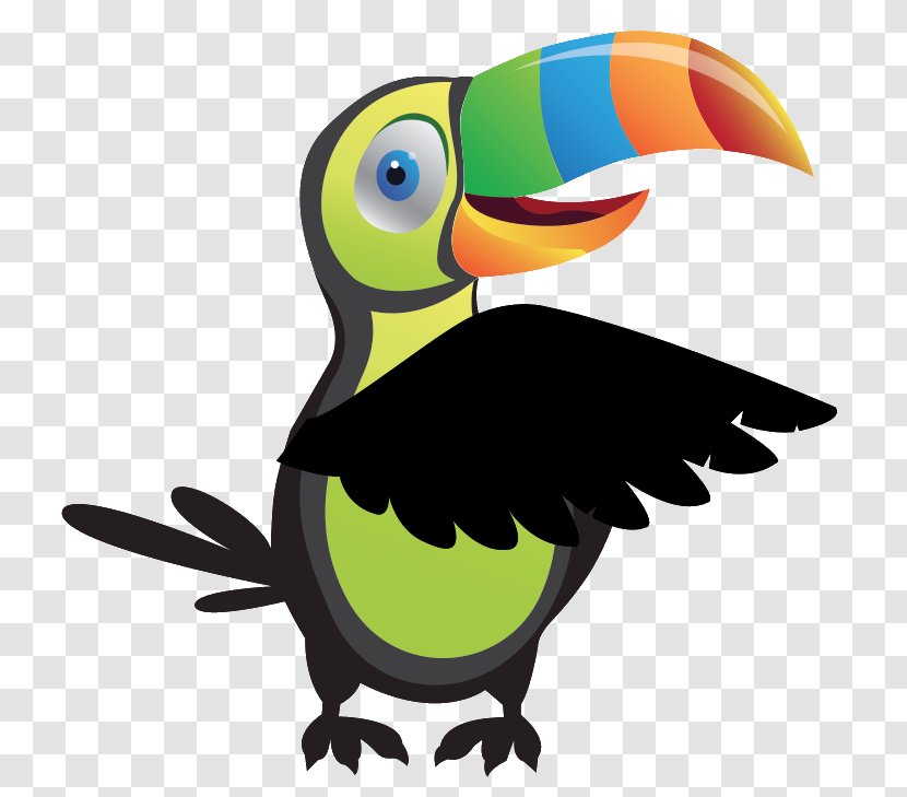 Valera Toucan Urdaneta Municipio Trujillo Miranda - Fauna - TUCAN Transparent PNG