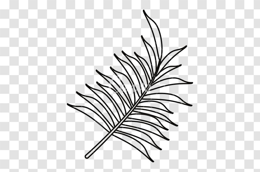 Arecaceae Ravenala Madagascariensis - Line Art - Car Trunk Transparent PNG