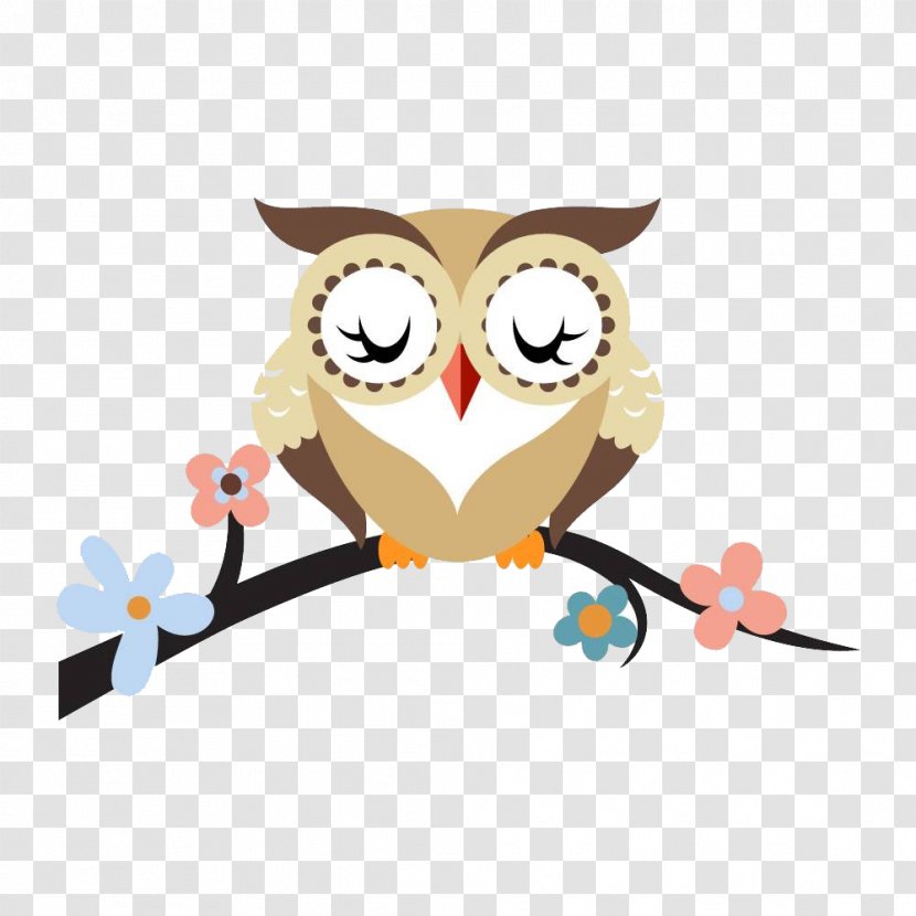 Owl Cartoon Drawing Royalty-free - Color - Cute Transparent PNG