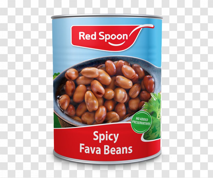 Peanut Vegetarian Cuisine Bean Flavor - Legumes - Fava Beans Transparent PNG