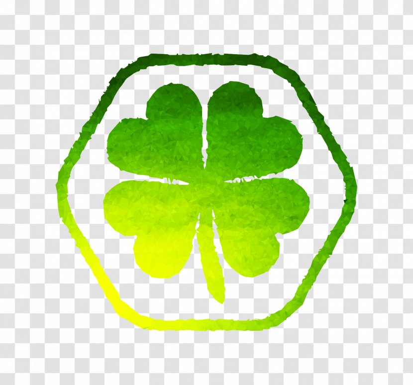 Leaf Plant Stem Shamrock Plants - Symbol Transparent PNG