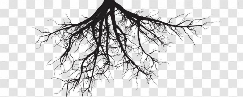 Clip Art Root Tree Trunk - Symmetry - Roots 2016 Transparent PNG