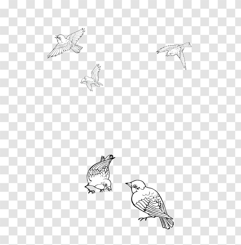 Bird Cartoon Black And White - Wing - Hand Drawn Sparrow Transparent PNG