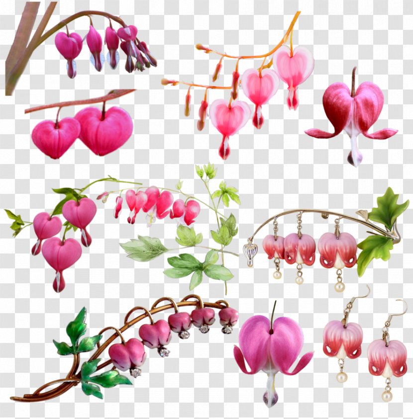 Asian Bleeding-heart DeviantArt Clip Art - Fruit - Bleeding Love Transparent PNG