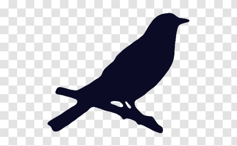 American Crow Bird Beak Koppel - Fauna - Vogelschwarz Transparent PNG