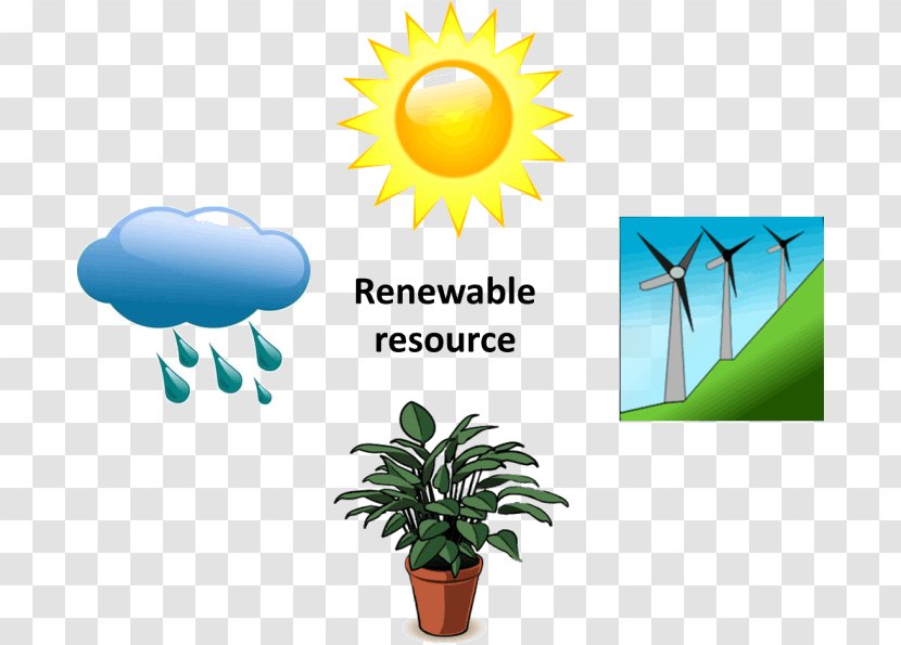 Renewable Resource Energy Flower Plant Reproduction - Pollen Transparent PNG