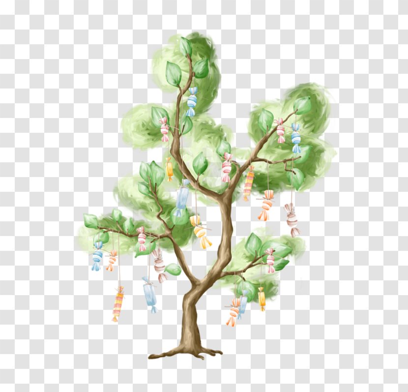 Birthday 0 Tree Party August - Forest Watercolor Transparent PNG