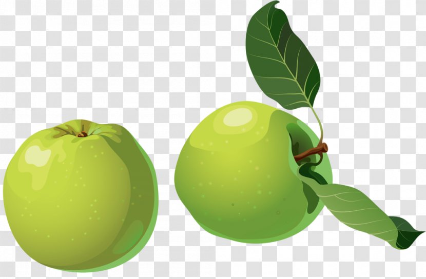 Granny Smith Apple Tomato - Plant - Two Green Apples Transparent PNG