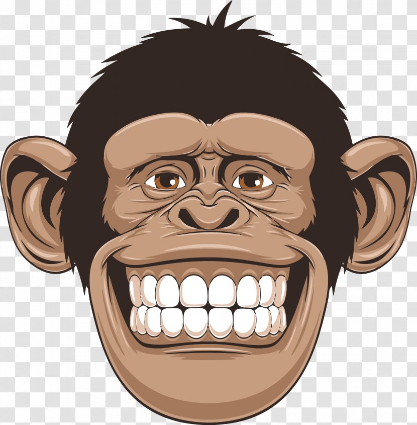 Chimpanzee Primate Drawing - Face - Monkey Transparent PNG