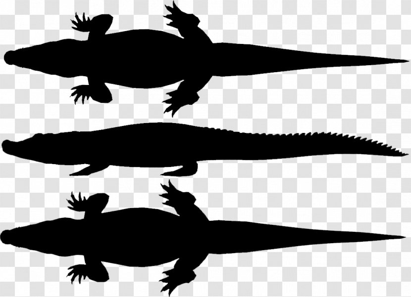 Crocodiles Turtle Amphibians Fauna Clip Art - Amphibian - Reptile Transparent PNG