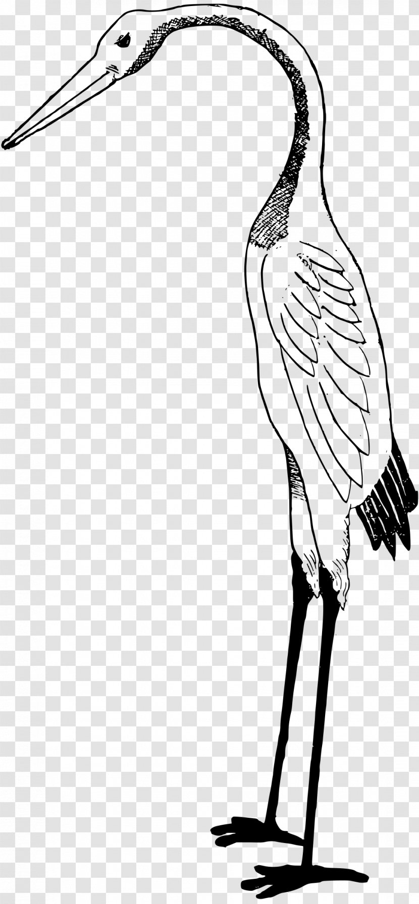 White Stork Clip Art - Black And Transparent PNG