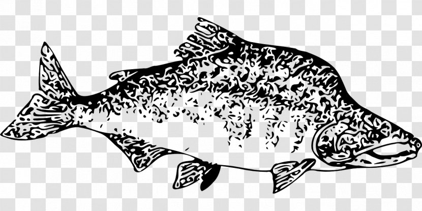 Salmon Clip Art - Line - Fish Transparent PNG