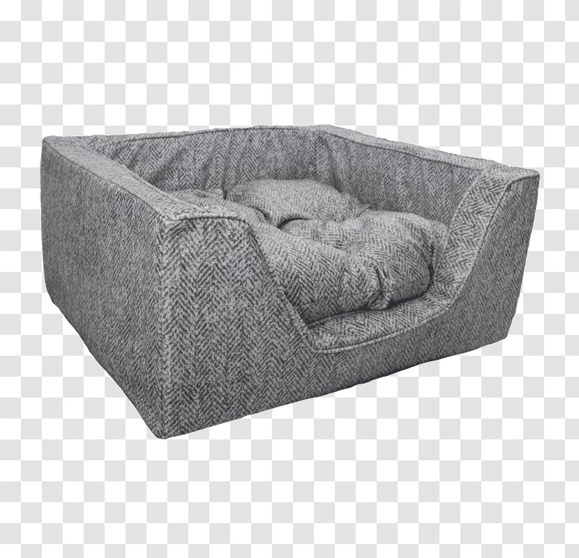 Couch Dog Rectangle Square - Fancy Transparent PNG