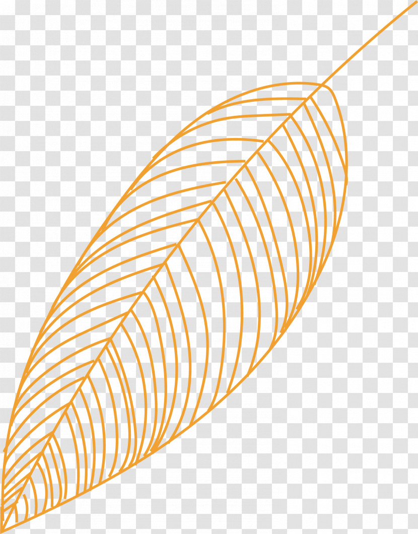 Leaf Angle Line Font Meter Transparent PNG