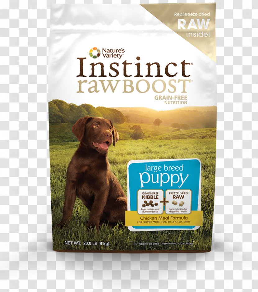 Golden Retriever Labrador Puppy Great Dane Dog Food - Chicken Meal - Treats Transparent PNG