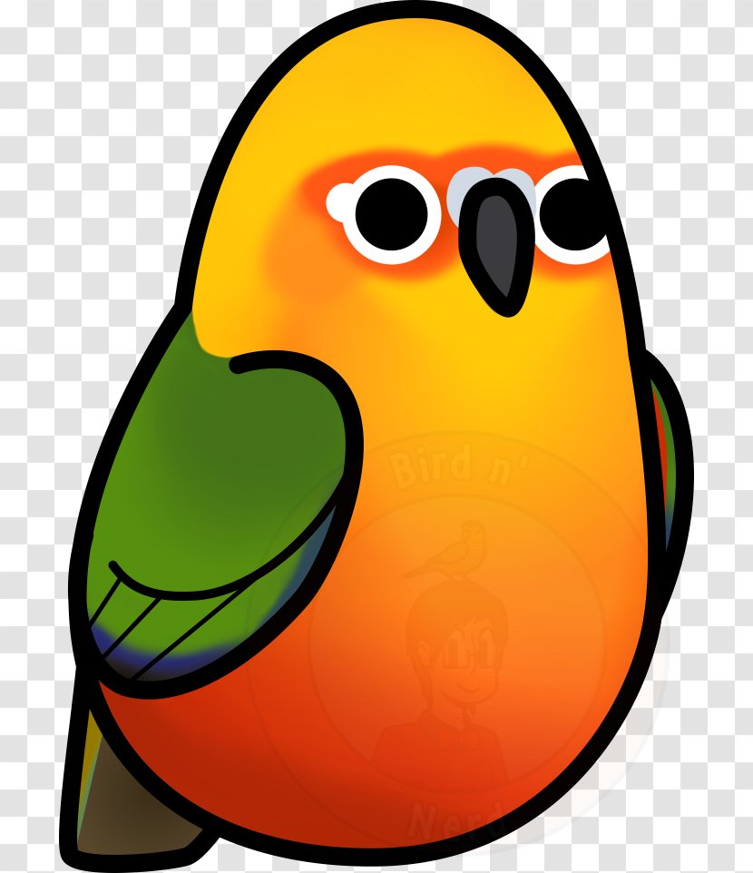 Conure Bird Jandaya Parakeet Green-cheeked - Yellow Transparent PNG