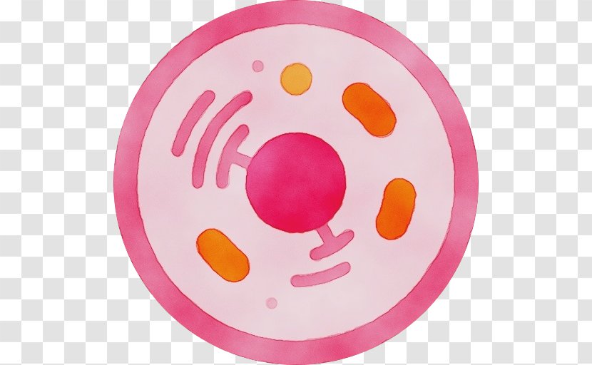 Pink Plate Dishware Circle Tableware - Wet Ink - Smile Transparent PNG
