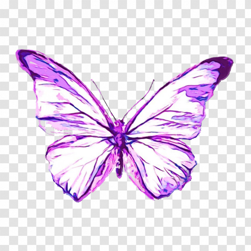Butterfly Moths And Butterflies Insect Purple Violet Transparent PNG