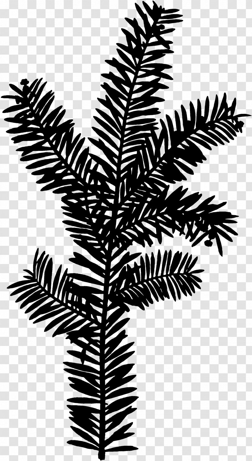 Twig Black & White - Plants - M Plant Stem Leaf Palm Trees Transparent PNG