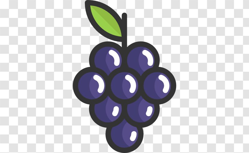 Common Grape Vine Wine Food Fruit - Grapes Vector Transparent PNG