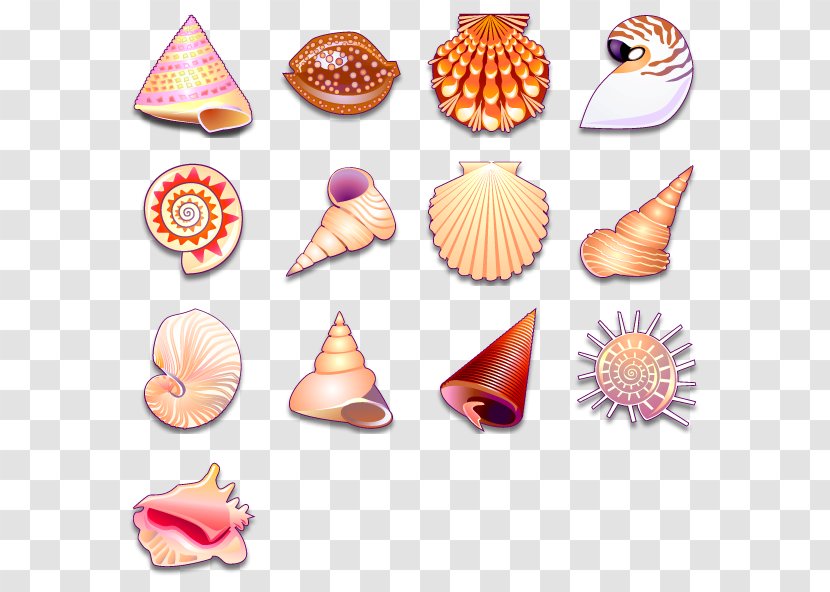 Seashell Clip Art - Desktop Environment Transparent PNG