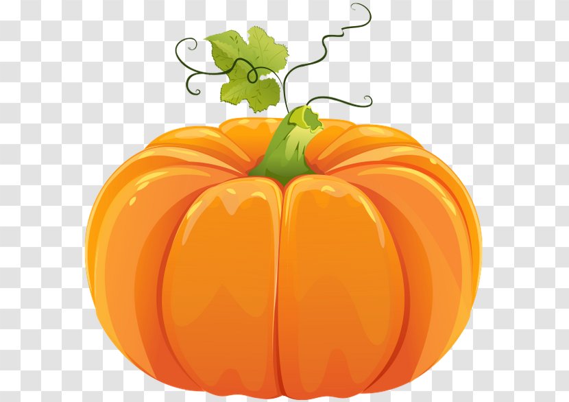 Pumpkin Download Clip Art - Local Food Transparent PNG