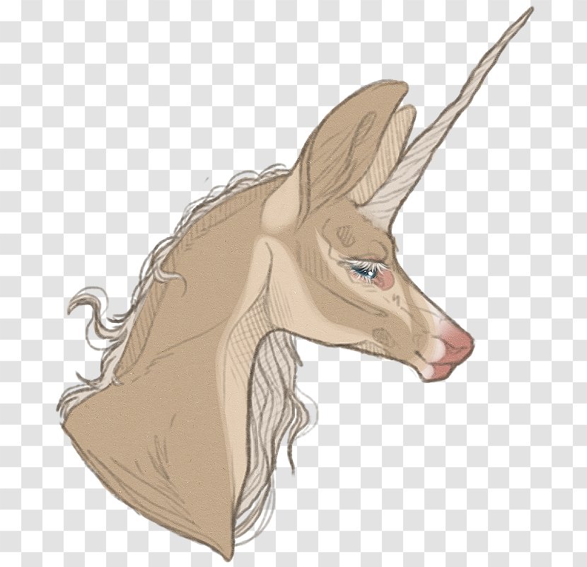 Deer Horse Macropodidae Hare - Joint Transparent PNG