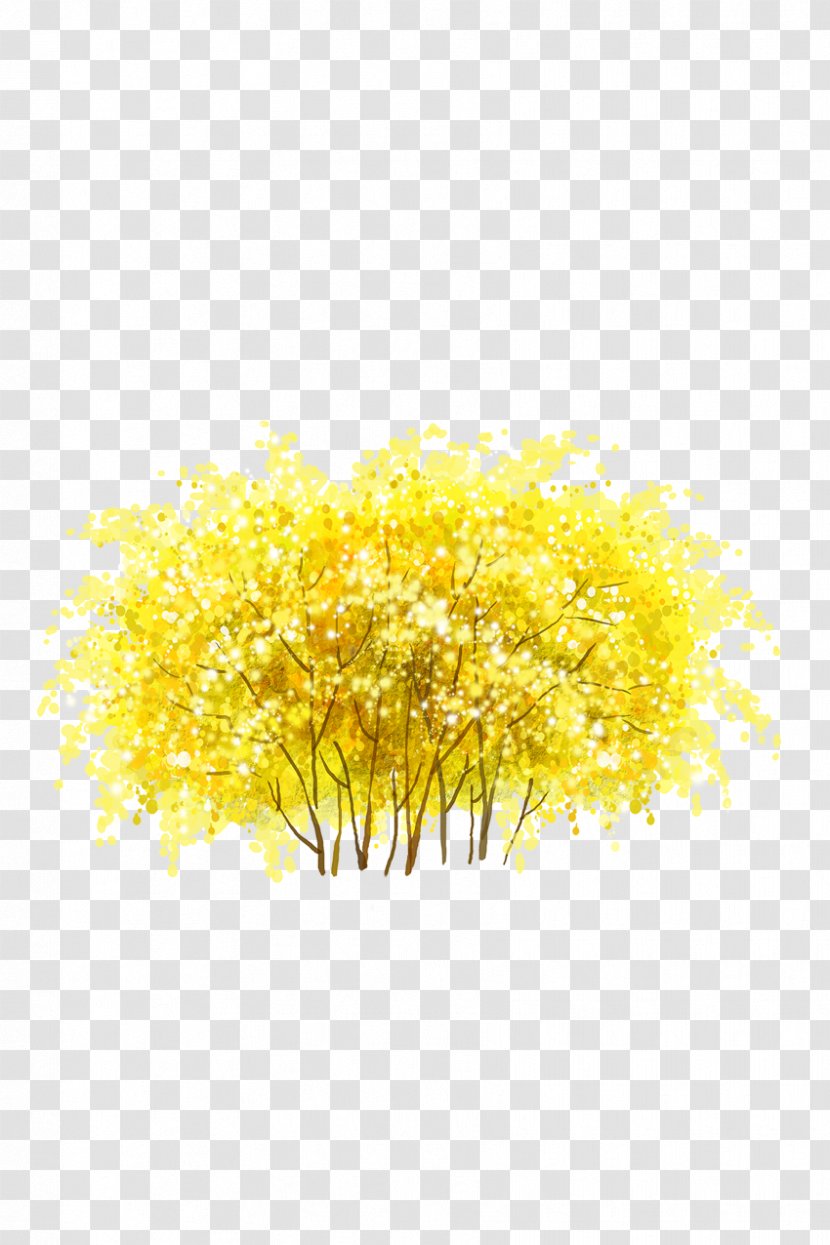 Shulin District Wood - Material - Yellow Woods Transparent PNG