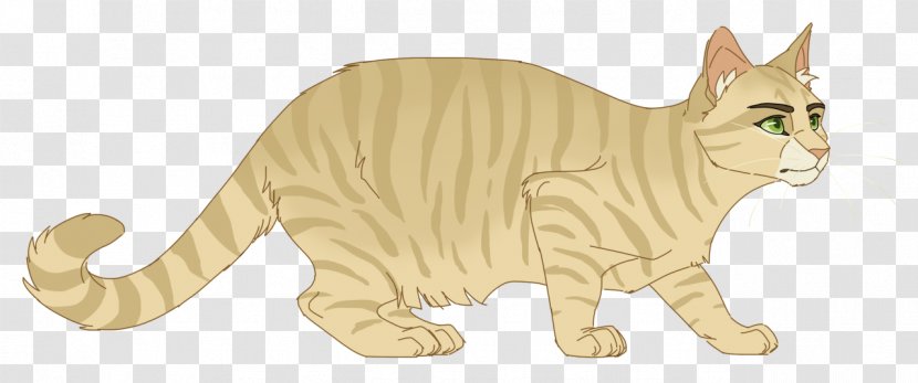 Whiskers Kitten Tabby Cat Domestic Short-haired Wildcat - Like Mammal Transparent PNG